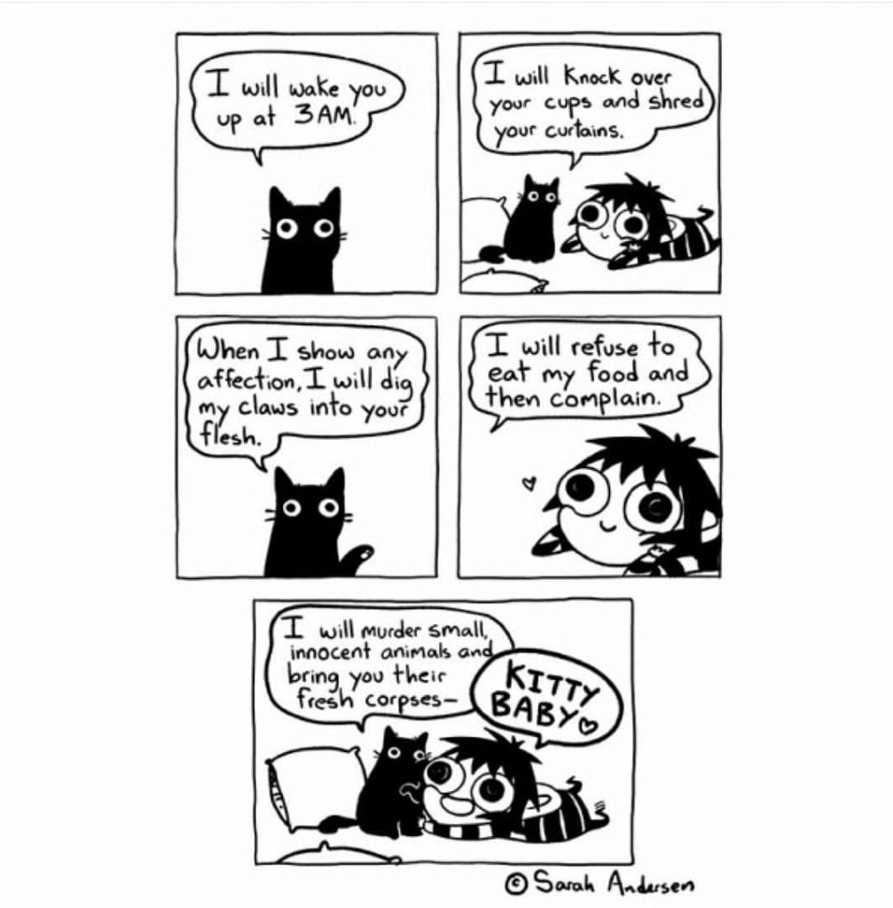 Screenshot_20161126-212511_1