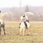 epona horse land bobicesti 2