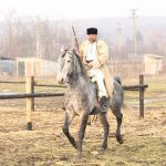 epona horse land bobicesti 3