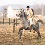 epona horse land bobicesti 4