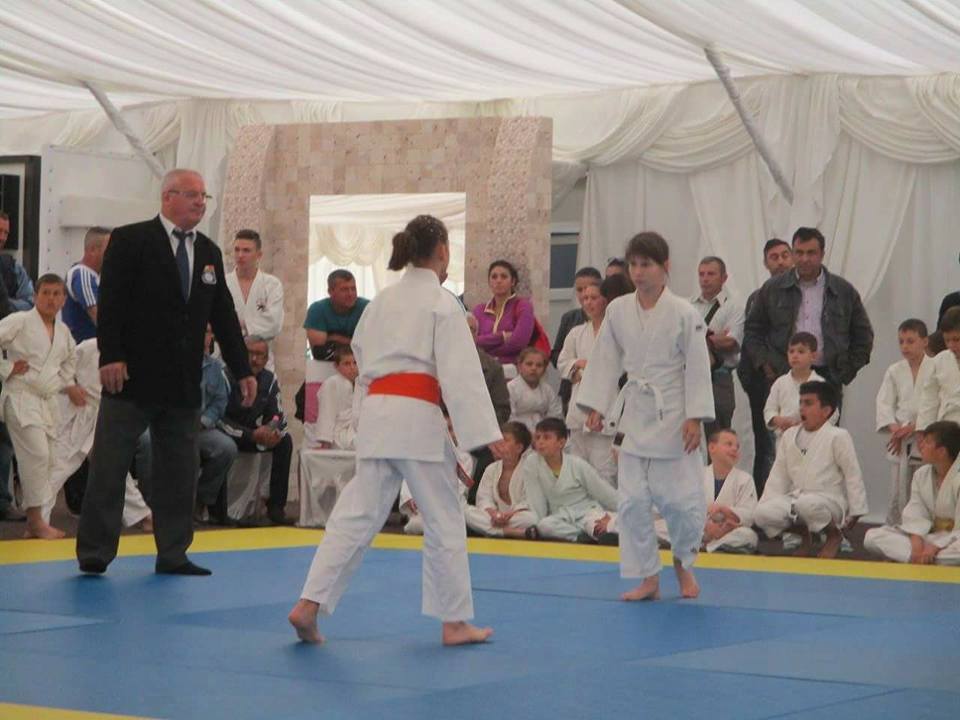 judo alro aluminiu slatina