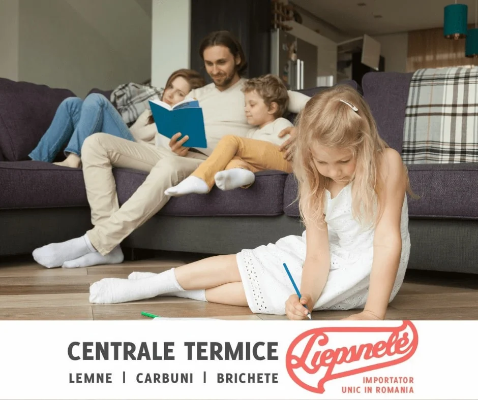 centrala pe lemne Liepsnele